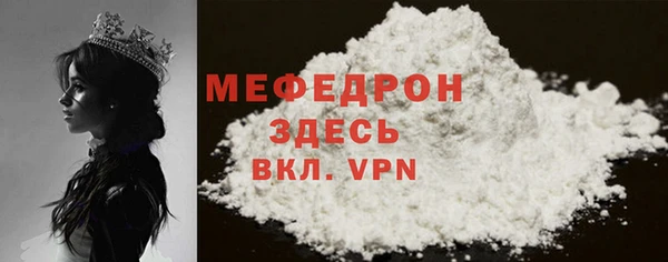 МДПВ Дмитриев