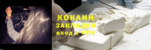 МДПВ Дмитриев