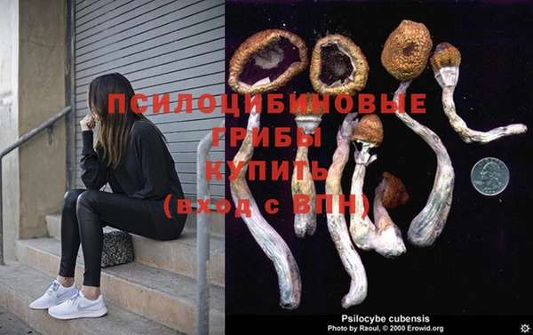 индика Елабуга
