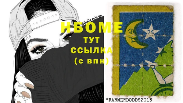 индика Елабуга