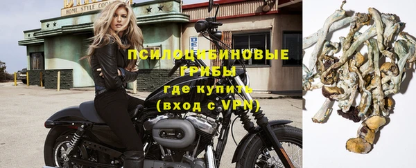МДПВ Дмитриев