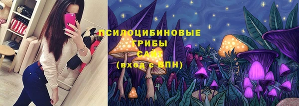 ПСИЛОЦИБИНОВЫЕ ГРИБЫ Дмитров
