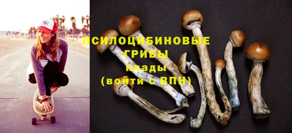 марки nbome Дмитровск