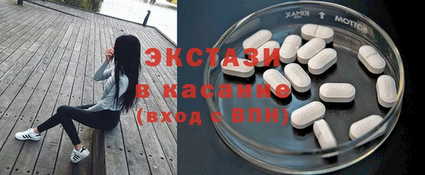 хмурый Ельня