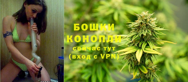 ПСИЛОЦИБИНОВЫЕ ГРИБЫ Дмитров