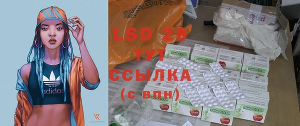 ПСИЛОЦИБИНОВЫЕ ГРИБЫ Дмитров